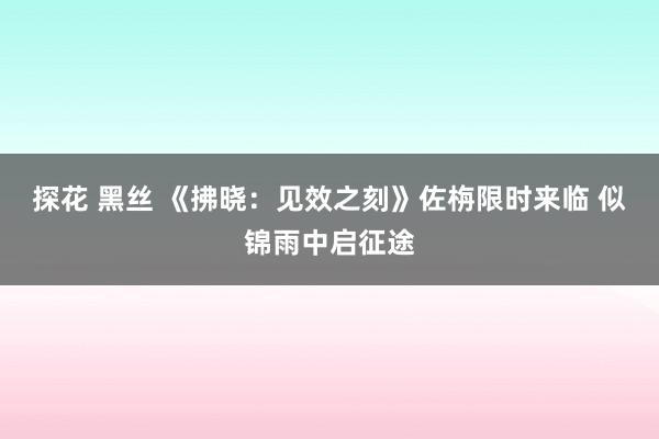 探花 黑丝 《拂晓：见效之刻》佐栴限时来临 似锦雨中启征途