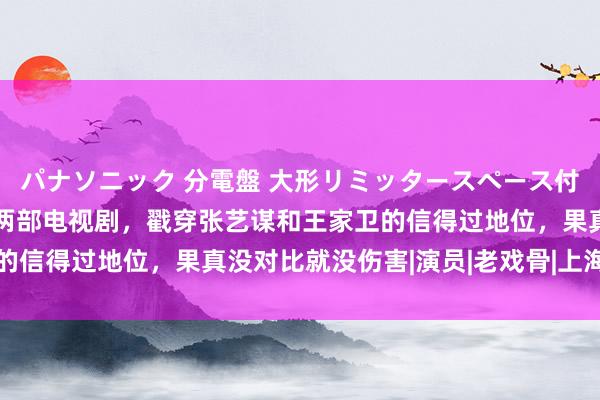 パナソニック 分電盤 大形リミッタースペース付 露出・半埋込両用形 两部电视剧，戳穿张艺谋和王家卫的信得过地位，果真没对比就没伤害|演员|老戏骨|上海电视节