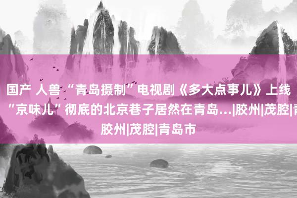 国产 人兽 “青岛摄制”电视剧《多大点事儿》上线热播！“京味儿”彻底的北京巷子居然在青岛...|胶州|茂腔|青岛市