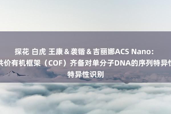 探花 白虎 王康＆袭锴＆吉丽娜ACS Nano: 愚弄共价有机框架（COF）齐备对单分子DNA的序列特异性识别